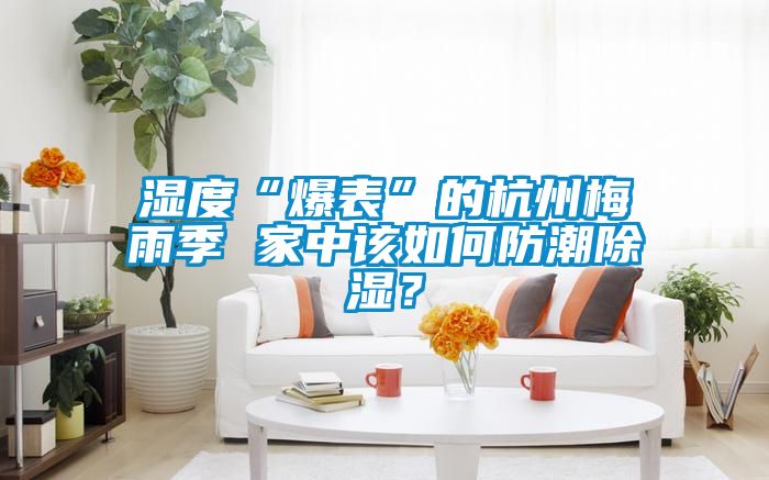 濕度“爆表”的杭州梅雨季 家中該如何防潮除濕？