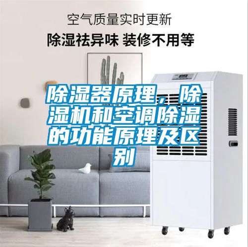 除濕器原理，除濕機(jī)和空調(diào)除濕的功能原理及區(qū)別
