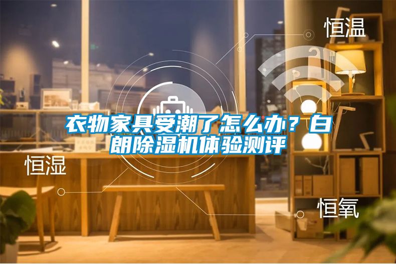 衣物家具受潮了怎么辦？白朗除濕機體驗測評
