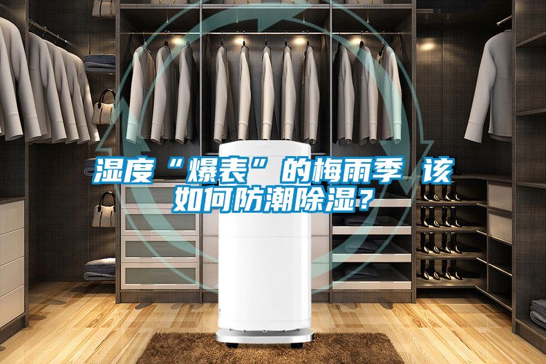 濕度“爆表”的梅雨季 該如何防潮除濕？