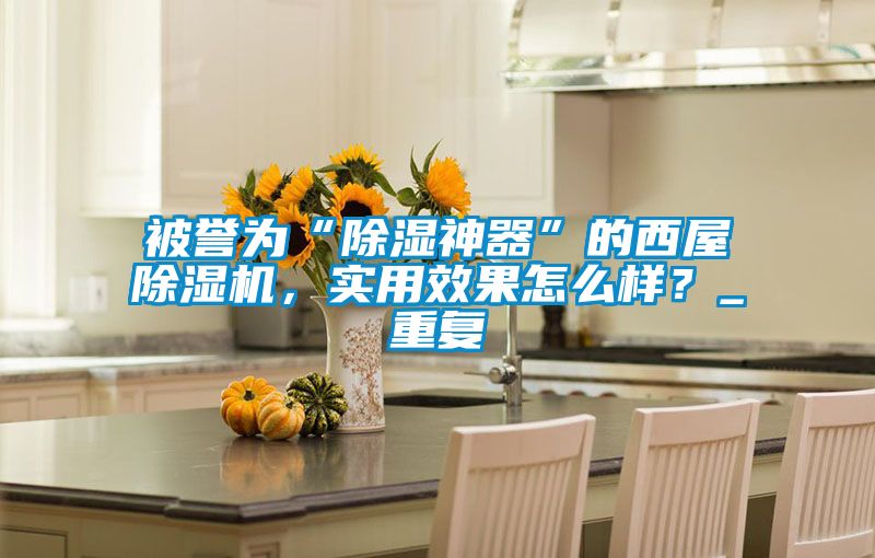 被譽(yù)為“除濕神器”的西屋除濕機(jī)，實(shí)用效果怎么樣？_重復(fù)