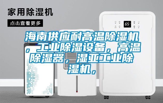 海南供應(yīng)耐高溫除濕機，工業(yè)除濕設(shè)備，高溫除濕器，濕亞工業(yè)除濕機，