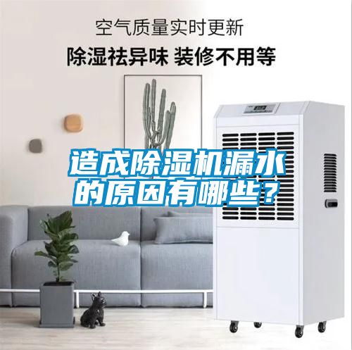 造成除濕機漏水的原因有哪些？