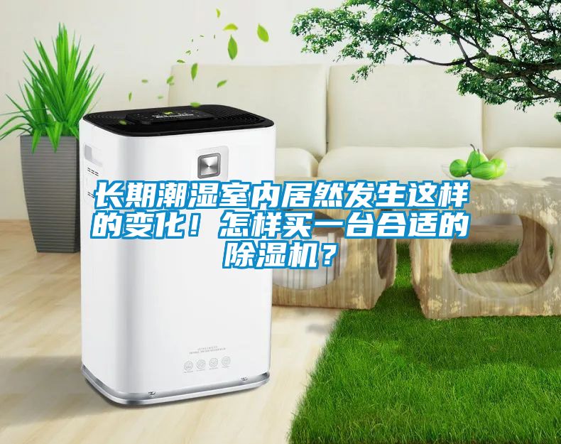 長期潮濕室內(nèi)居然發(fā)生這樣的變化！怎樣買一臺合適的除濕機(jī)？