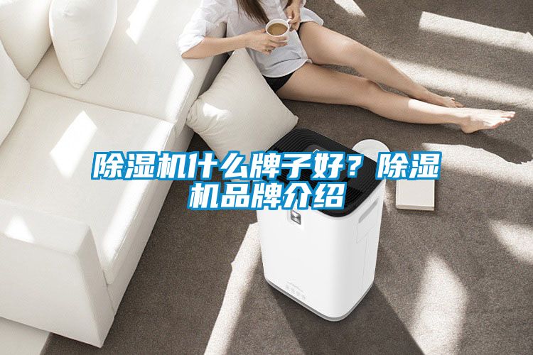 除濕機(jī)什么牌子好？除濕機(jī)品牌介紹
