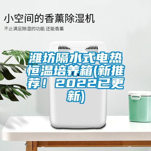 濰坊隔水式電熱恒溫培養(yǎng)箱(新推薦！2022已更新)