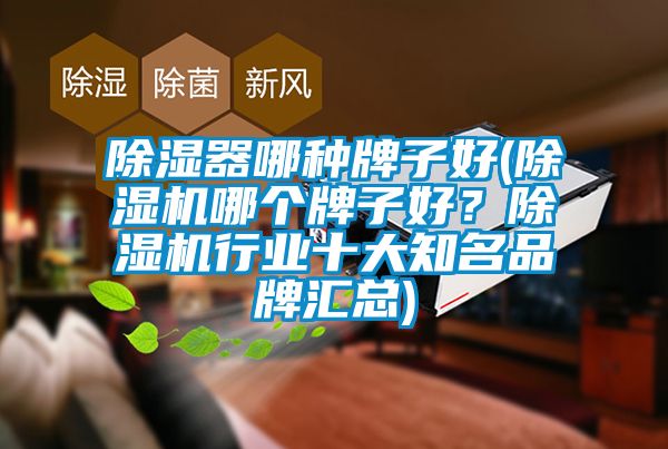 除濕器哪種牌子好(除濕機(jī)哪個(gè)牌子好？除濕機(jī)行業(yè)十大知名品牌匯總)