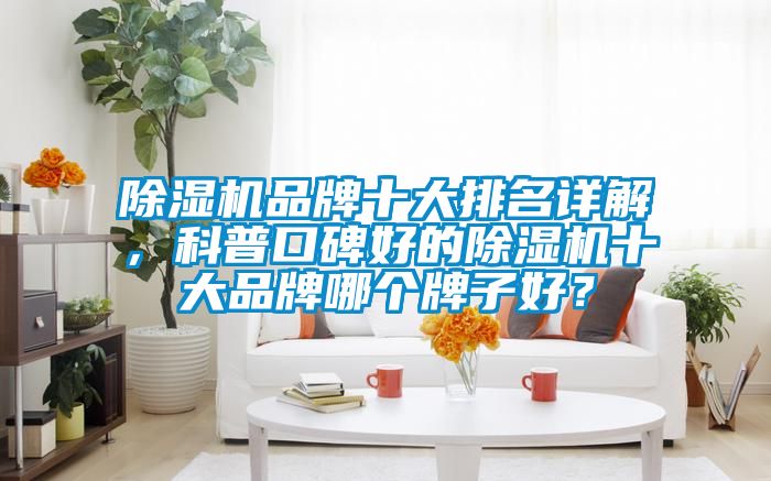 除濕機(jī)品牌十大排名詳解，科普口碑好的除濕機(jī)十大品牌哪個(gè)牌子好？