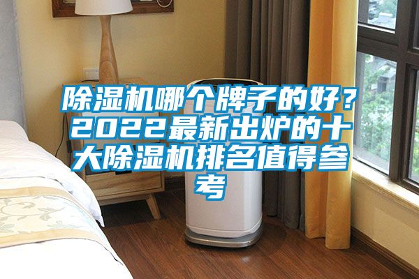 除濕機(jī)哪個(gè)牌子的好？2022最新出爐的十大除濕機(jī)排名值得參考