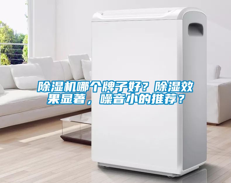 除濕機(jī)哪個牌子好？除濕效果顯著，噪音小的推薦？
