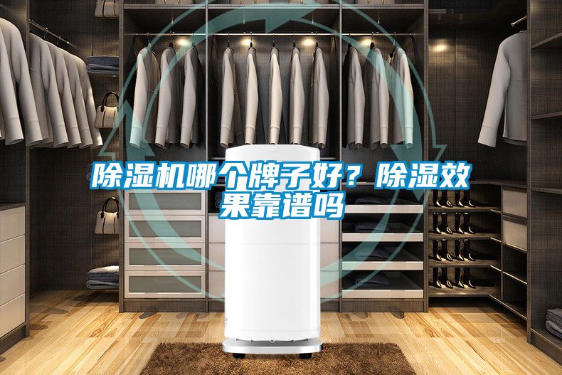 除濕機哪個牌子好？除濕效果靠譜嗎