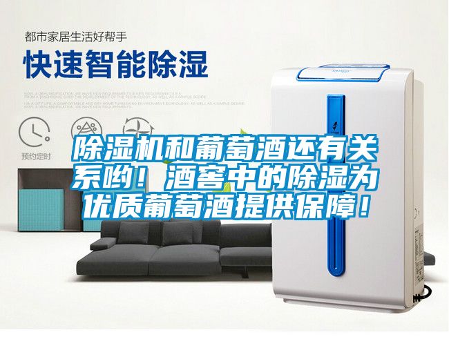 除濕機和葡萄酒還有關(guān)系喲！酒窖中的除濕為優(yōu)質(zhì)葡萄酒提供保障！