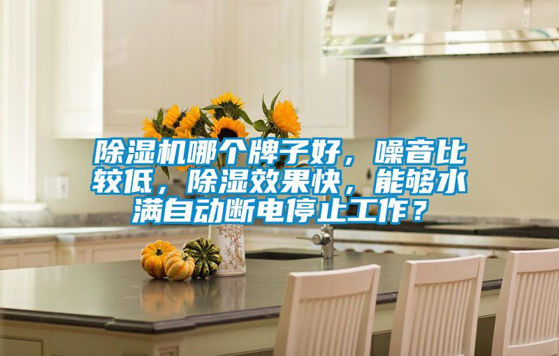 除濕機(jī)哪個(gè)牌子好，噪音比較低，除濕效果快，能夠水滿自動(dòng)斷電停止工作？
