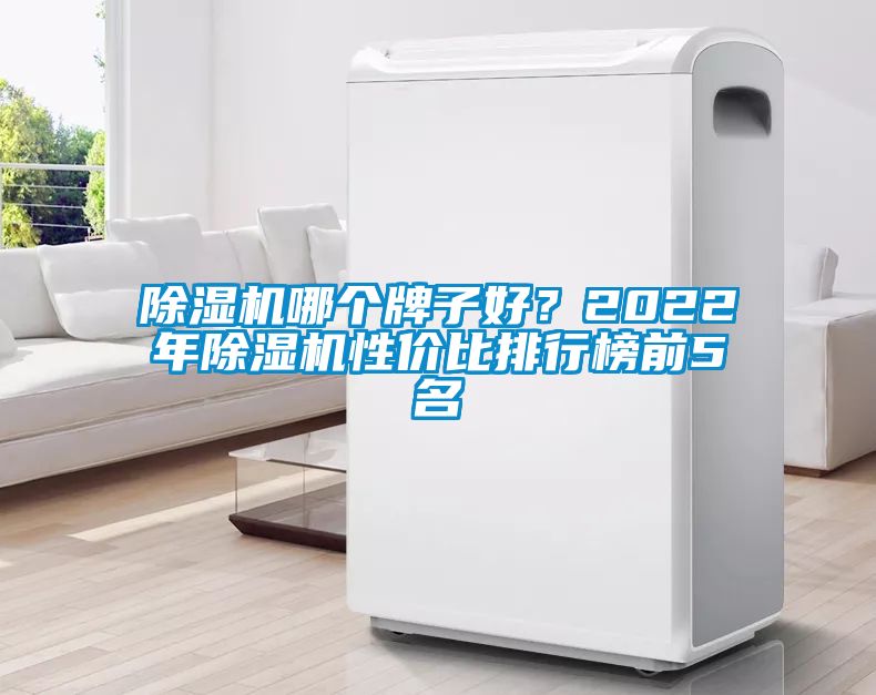 除濕機(jī)哪個牌子好？2022年除濕機(jī)性價比排行榜前5名