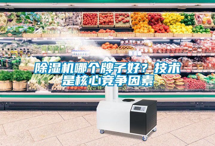 除濕機(jī)哪個牌子好？技術(shù)是核心競爭因素