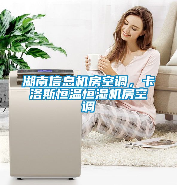 湖南信息機房空調(diào)，卡洛斯恒溫恒濕機房空調(diào)