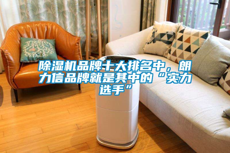 除濕機(jī)品牌十大排名中，朗力信品牌就是其中的“實(shí)力選手”