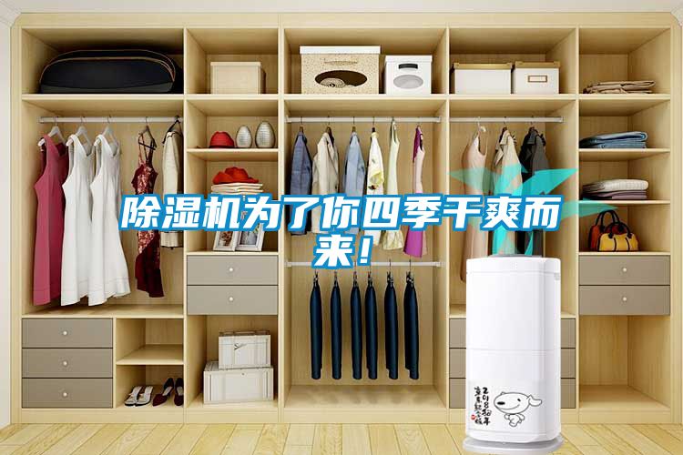 除濕機為了你四季干爽而來！