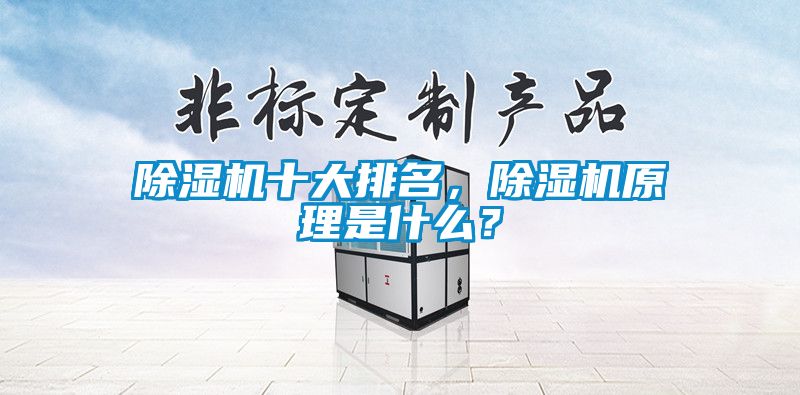 除濕機(jī)十大排名，除濕機(jī)原理是什么？