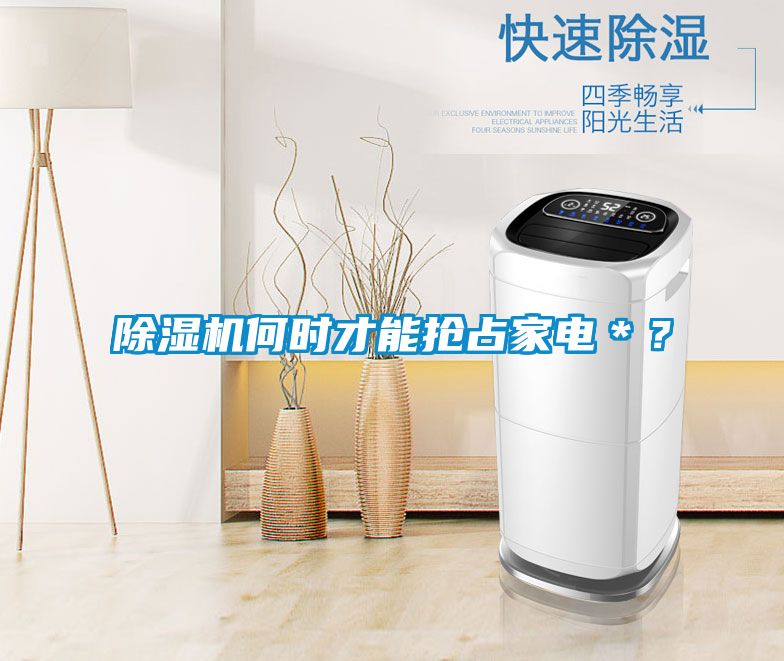 除濕機何時才能搶占家電＊？