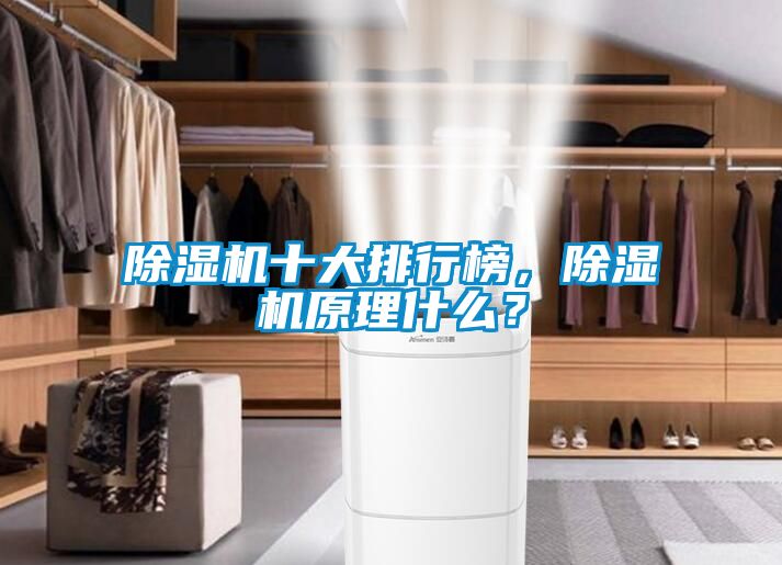 除濕機十大排行榜，除濕機原理什么？