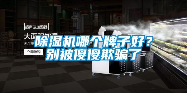 除濕機(jī)哪個(gè)牌子好？別被傻傻欺騙了