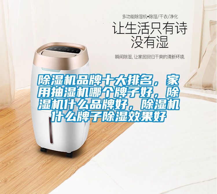 除濕機(jī)品牌十大排名，家用抽濕機(jī)哪個(gè)牌子好，除濕機(jī)什么品牌好，除濕機(jī)什么牌子除濕效果好