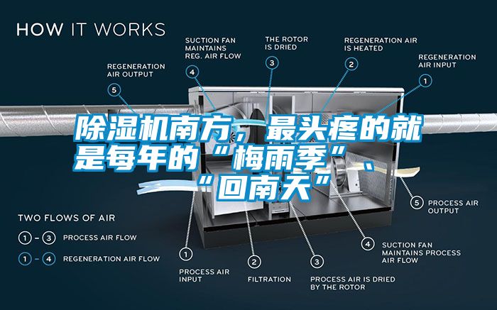 除濕機南方，最頭疼的就是每年的“梅雨季”、“回南天”