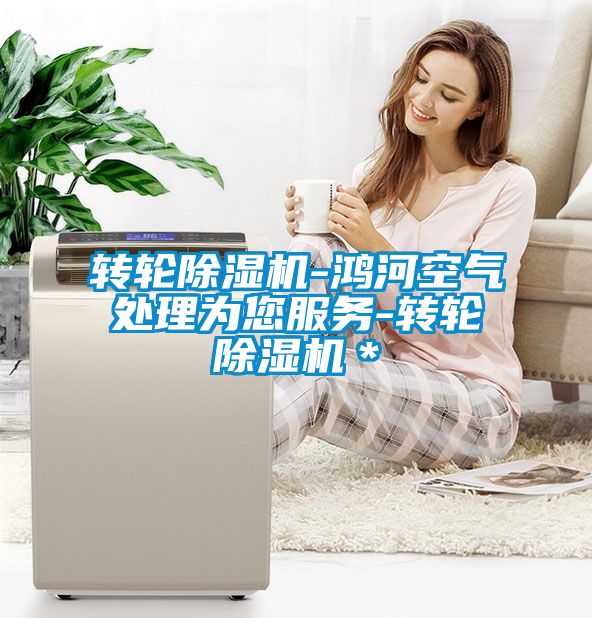 轉(zhuǎn)輪除濕機-鴻河空氣處理為您服務(wù)-轉(zhuǎn)輪除濕機＊