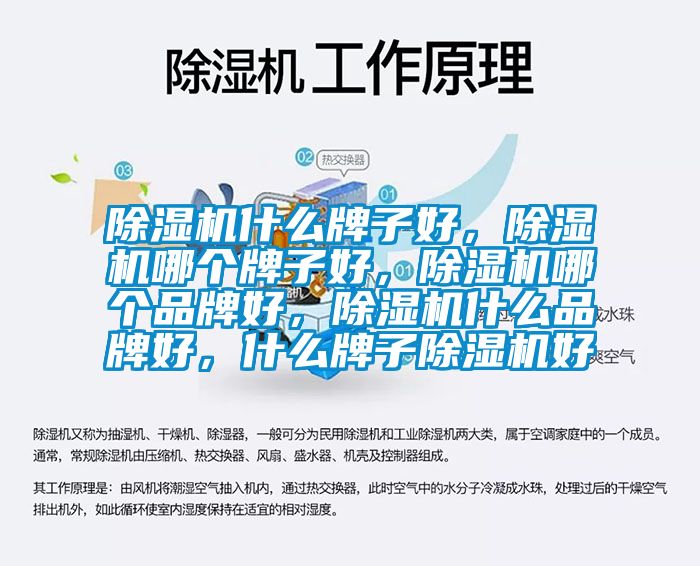 除濕機(jī)什么牌子好，除濕機(jī)哪個(gè)牌子好，除濕機(jī)哪個(gè)品牌好，除濕機(jī)什么品牌好，什么牌子除濕機(jī)好