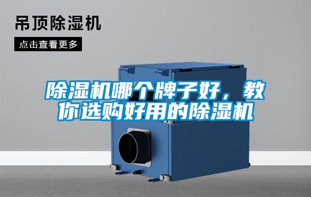 除濕機(jī)哪個(gè)牌子好，教你選購(gòu)好用的除濕機(jī)