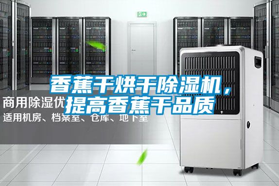 香蕉干烘干除濕機(jī)，提高香蕉干品質(zhì)