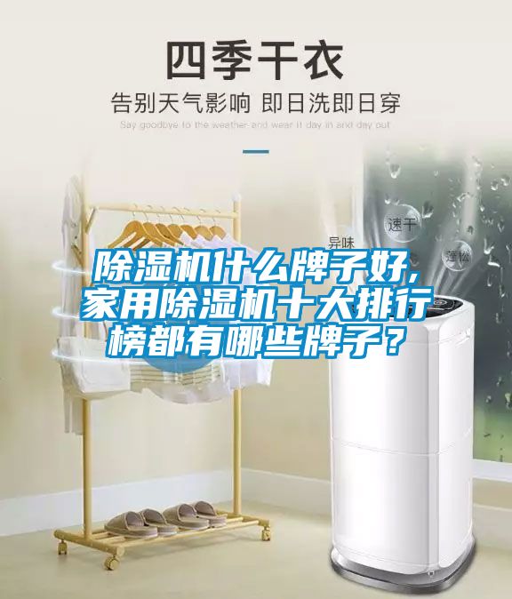 除濕機(jī)什么牌子好,家用除濕機(jī)十大排行榜都有哪些牌子？