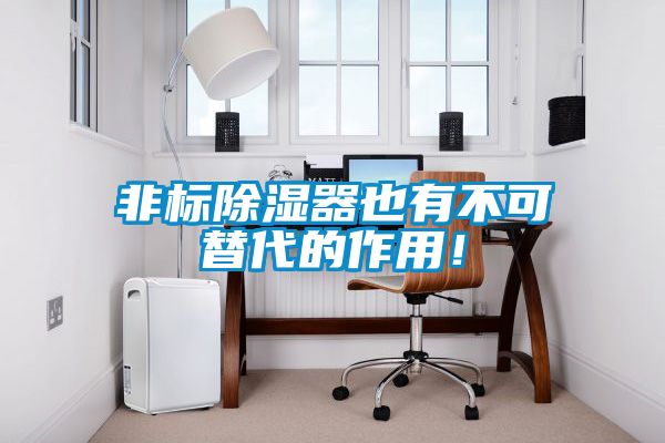 非標除濕器也有不可替代的作用！
