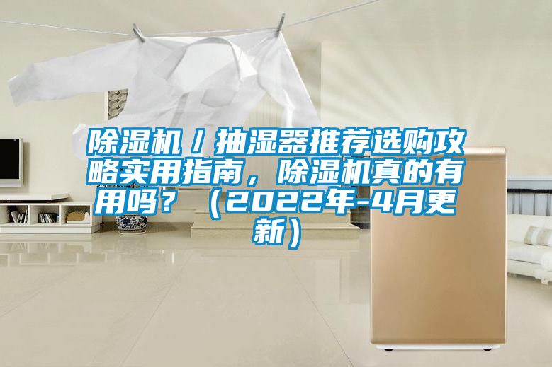 除濕機(jī)／抽濕器推薦選購攻略實(shí)用指南，除濕機(jī)真的有用嗎？（2022年-4月更新）