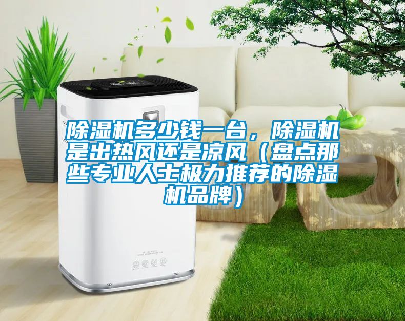 除濕機(jī)多少錢一臺(tái)，除濕機(jī)是出熱風(fēng)還是涼風(fēng)（盤點(diǎn)那些專業(yè)人士極力推薦的除濕機(jī)品牌）