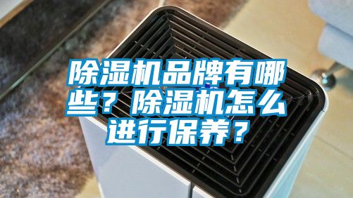 除濕機(jī)品牌有哪些？除濕機(jī)怎么進(jìn)行保養(yǎng)？