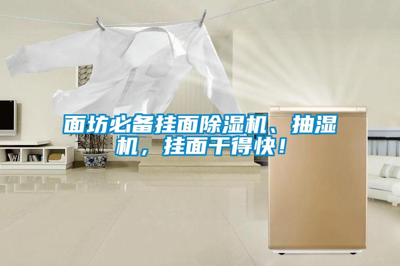 面坊必備掛面除濕機、抽濕機，掛面干得快！