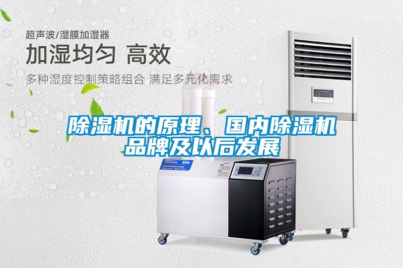 除濕機(jī)的原理、國內(nèi)除濕機(jī)品牌及以后發(fā)展