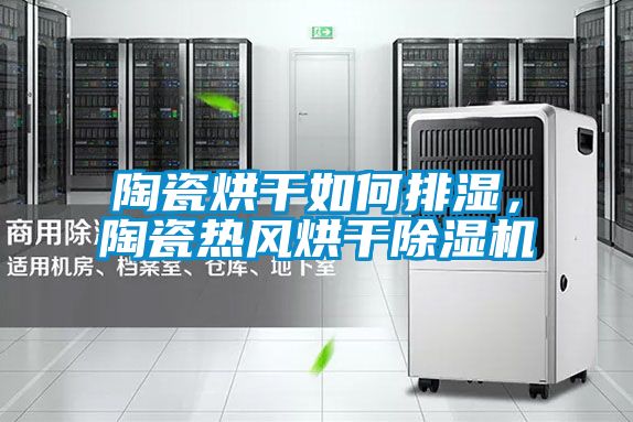 陶瓷烘干如何排濕，陶瓷熱風(fēng)烘干除濕機(jī)