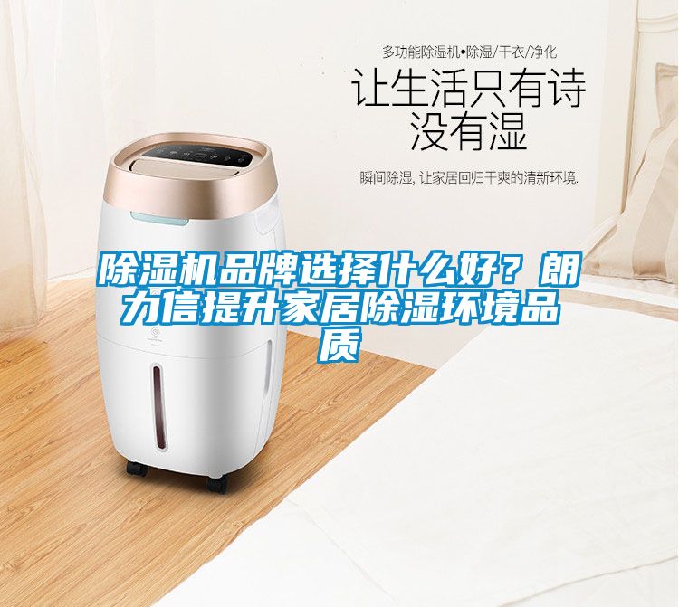 除濕機(jī)品牌選擇什么好？朗力信提升家居除濕環(huán)境品質(zhì)
