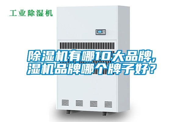 除濕機有哪10大品牌,濕機品牌哪個牌子好？