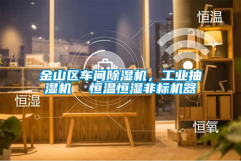 金山區(qū)車(chē)間除濕機(jī)，工業(yè)抽濕機(jī)  恒溫恒濕非標(biāo)機(jī)器