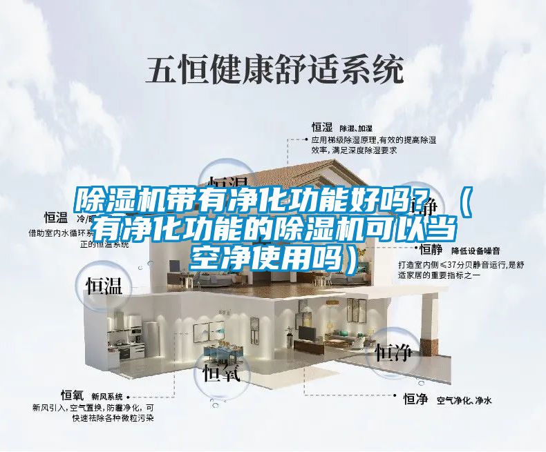 除濕機帶有凈化功能好嗎？（有凈化功能的除濕機可以當(dāng)空凈使用嗎）