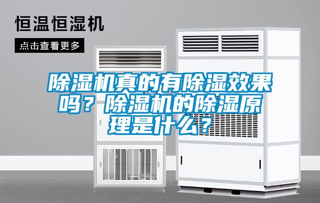 除濕機(jī)真的有除濕效果嗎？除濕機(jī)的除濕原理是什么？