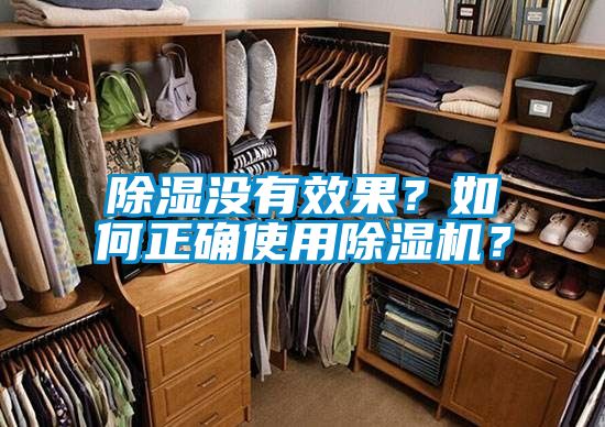 除濕沒有效果？如何正確使用除濕機？