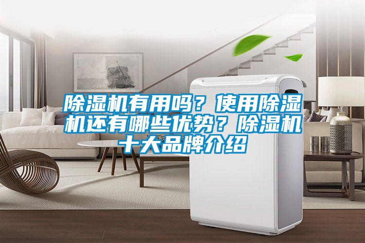 除濕機(jī)有用嗎？使用除濕機(jī)還有哪些優(yōu)勢(shì)？除濕機(jī)十大品牌介紹