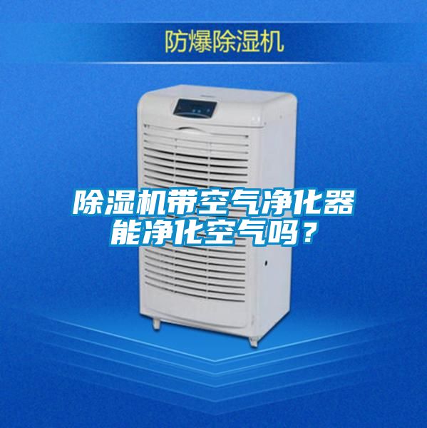 除濕機(jī)帶空氣凈化器能凈化空氣嗎？