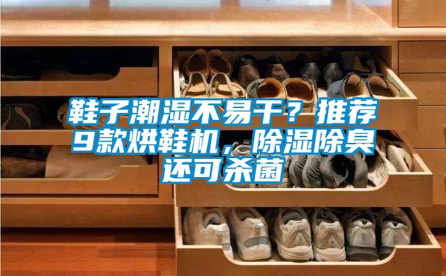 鞋子潮濕不易干？推薦9款烘鞋機(jī)，除濕除臭還可殺菌