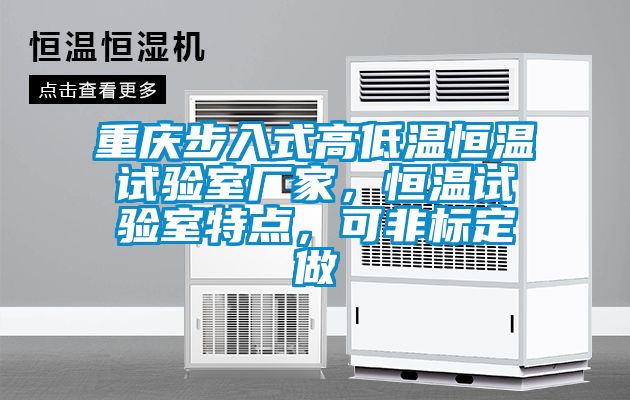 重慶步入式高低溫恒溫試驗(yàn)室廠家，恒溫試驗(yàn)室特點(diǎn)，可非標(biāo)定做